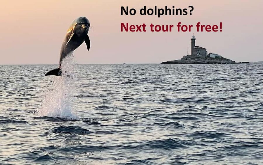 Rovinj: Dolphin Watching Sunset Speedboat Tour with Drinks - Key things to know before you go