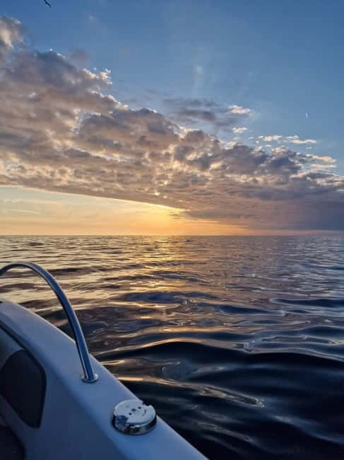Rovinj Islands: 3-Hour Tour with Swimming and Snorkeling - The Snorkeling Stop for Marine Life, Gear Up and Keep It Easy