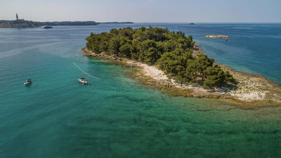 Rovinj: Luxury Island Hopping with Swimming & Snorkeling - Small-group speedboat calm, with time to actually swim
