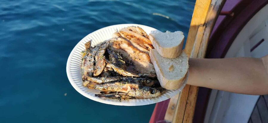 Rovinj: Red Island & Lim Fjord boat tour with BBQ & Swimming - Should you book it, or pick a different boat day?