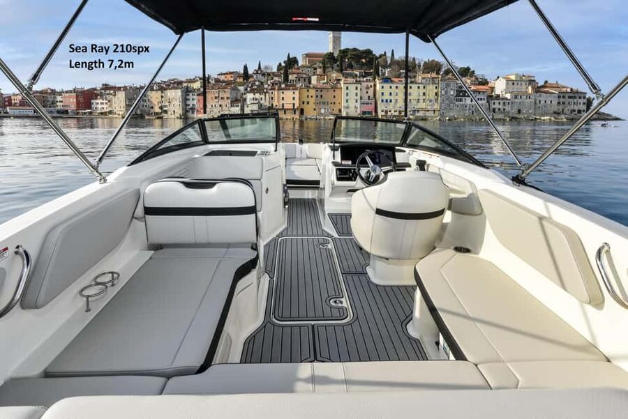 Rovinj: Rovinj Archipelago and South Coves Speedboat Tour - Dolphins early in the morning, and how to set expectations