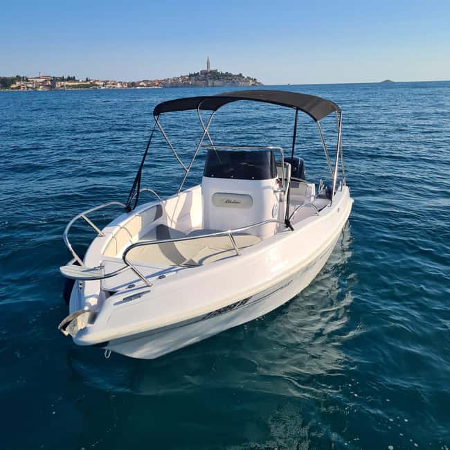 Rovinj: Shared Dolphin and Sunset Tour with Drinks - The skipper and live guide setup