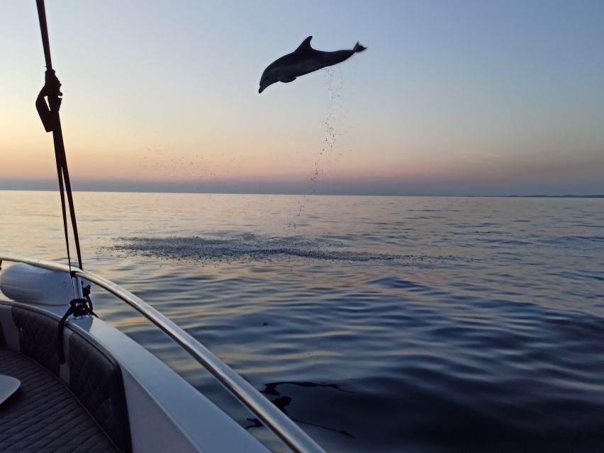 Rovinj: Sunrise Dolphins & Fishermen at Work Speedboat Tour - Secret Stop Near the Fishermen: dolphins, nets, and sunrise in one scene