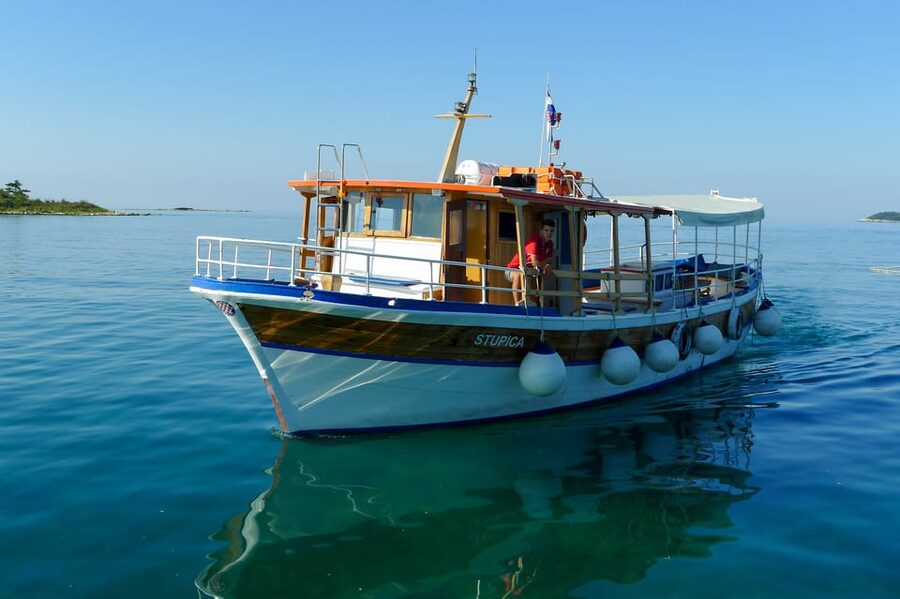 Rovinj: Sunset Cruise with Swim Stop, Drinks, and Fruits - Dolphins: a great chance, not a guarantee
