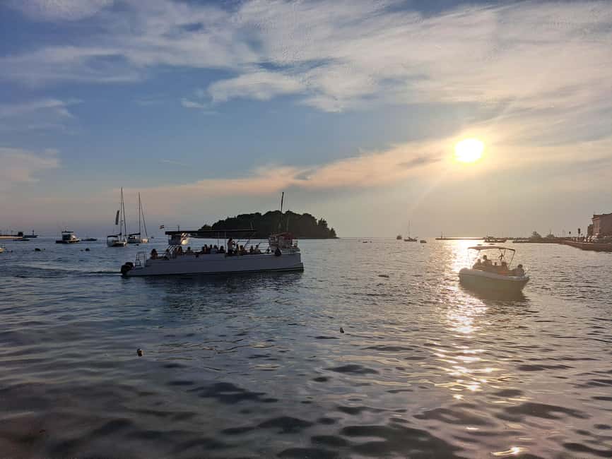 Rovinj: Sunset & dolphin group tours with Catamaran - Comfort on Board: Small Groups, Net Fun, and Room to Breathe