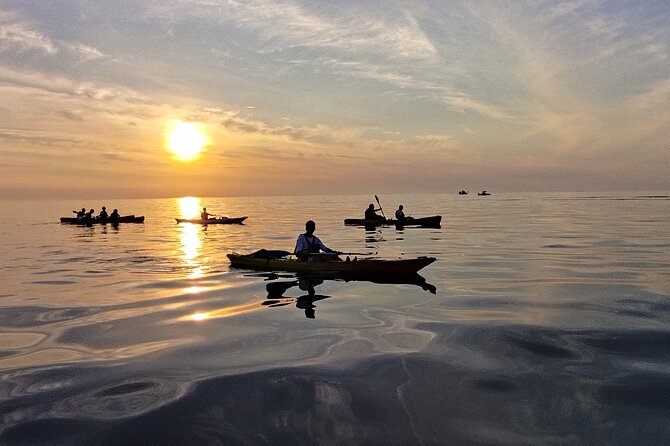 Rovinj Sunset kayaking tour - From the Beach to Old Rovinj Port: Your First Paddle