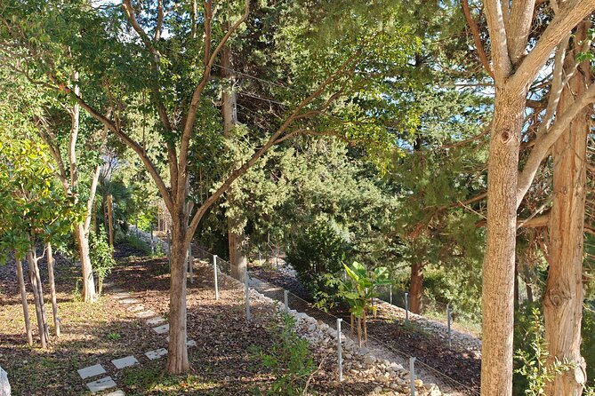 Secret Marjan Park Hiking Tour in Split - History you can place on the map, including the old Jewish cemetery
