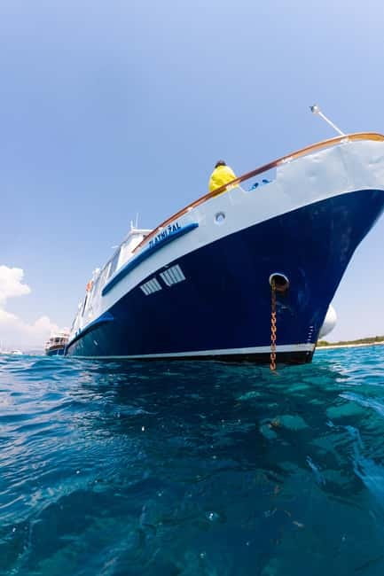 Shipwreck - Blue Lagoon All Inclusive + Trogir Walking Tour - Snorkeling the Kontesa shipwreck in Nečujam Bay, the part that needs energy