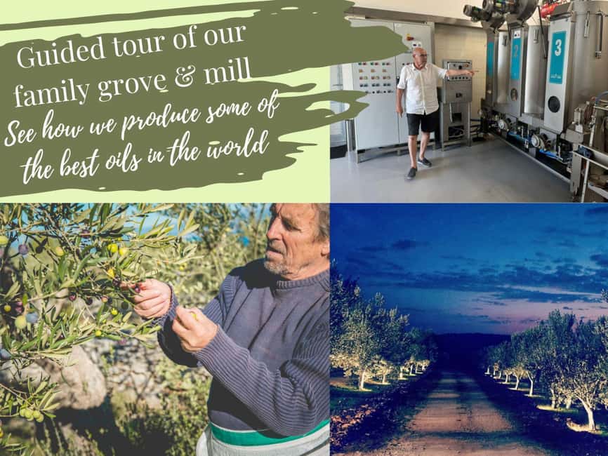 Šibenik: Croatia in a Day, Vistas, History, Olive Oil, Wine - Uljara Lepur olive grove walk: the part you will remember later