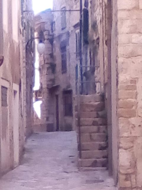 Šibenik walking tour in one hour! - The Cathedral of St. James finale, inside and out