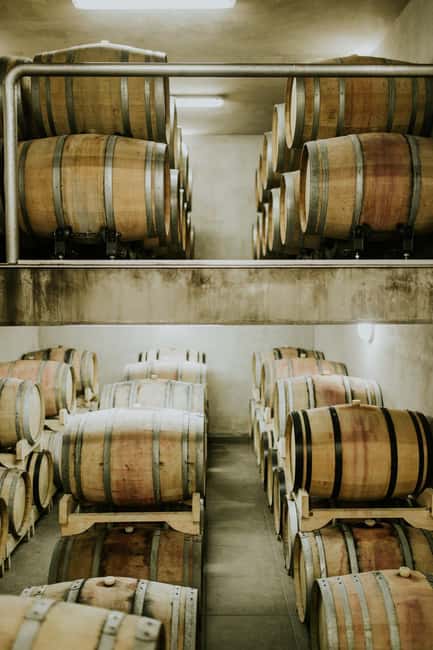 Šišan: Wine Tasting: Organic Wines of Southern Istria - Should You Book This Šišan Wine Tasting?