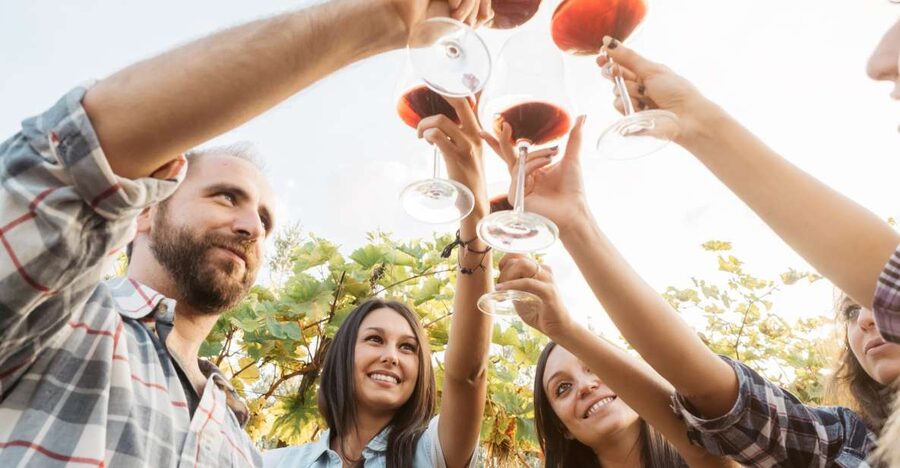 Šišan: Wine Tasting: Organic Wines of Southern Istria - The Terroir Lesson: Red Soil, Limestone, and Organic Farming