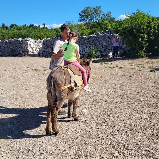 Šmrika (near Rijeka/Krk/Crikvenica) Donkey Farm Family Fun - Donkey milk and the conservation story, health talk without the hype