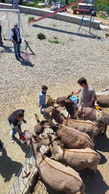 Šmrika (near Rijeka/Krk/Crikvenica) Donkey Farm Family Fun - Playground time and Kvarner Bay views, the calm between activities