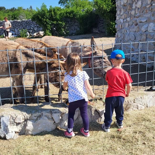Šmrika (near Rijeka/Krk/Crikvenica) Donkey Farm Family Fun - Who this donkey farm experience suits best