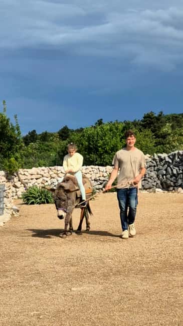 Šmrika (near Rijeka/Krk/Crikvenica) Donkey Farm Family Fun - Should you book Šmrika Donkey Farm family fun?