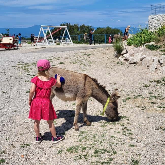 Šmrika (near Rijeka/Krk/Crikvenica) Donkey Farm Family Fun - Donkey rides and the yard cart drive, built for family photos