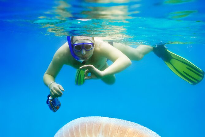 Snorkeling tour Makarska Riviera, islands of Hvar or Brač - What’s Not Included: Alcohol and Hotel Transfer