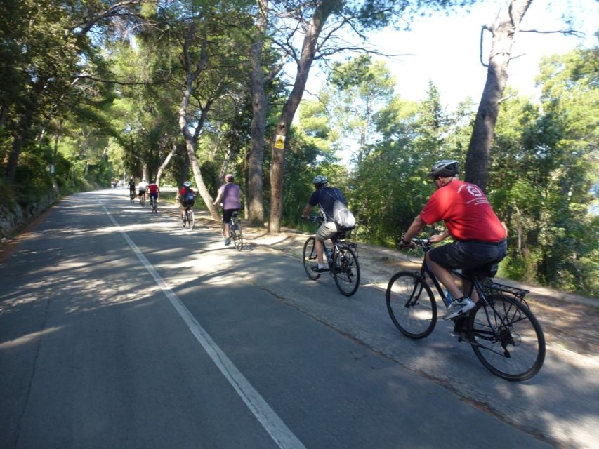 Split 3-Hour Guided Bike Tour - What you actually do on the bike, and how “3 hours” feels in real life