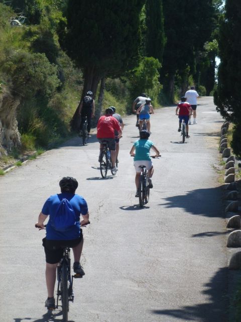 Split 3-Hour Guided Bike Tour - Old town lanes: Diocletian Palace, the market, and Đardin Park
