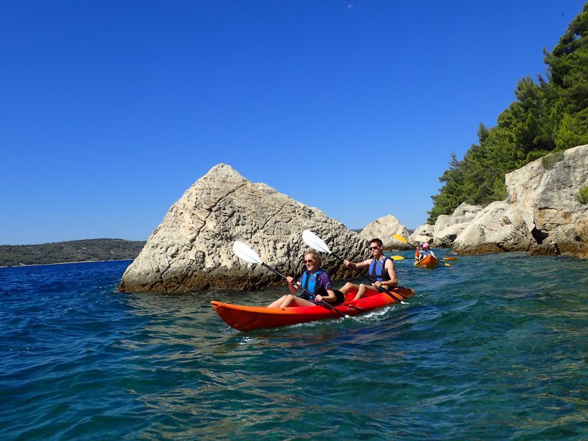 Split 4-Hour Guided Sea Kayak Tour - Key highlights you will feel right away