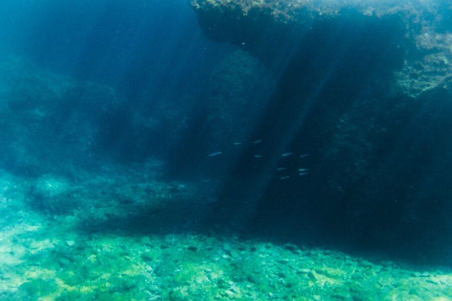 Split: 45-minute Semi-Submarine Trip - Price and value: what $28 includes, and what you should budget