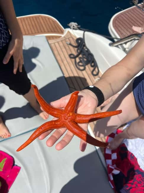 Split: 5 Islands Full-Day Tour to Blue Cave, Vis & Hvar - Key things I’d bet you’ll love on this tour