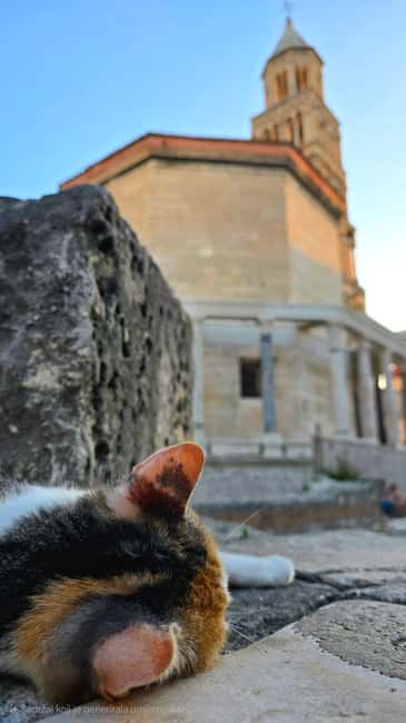 Split and Diocletian's Palace walking tour with a local guid - Diocletian’s Palace, explained by a Split local