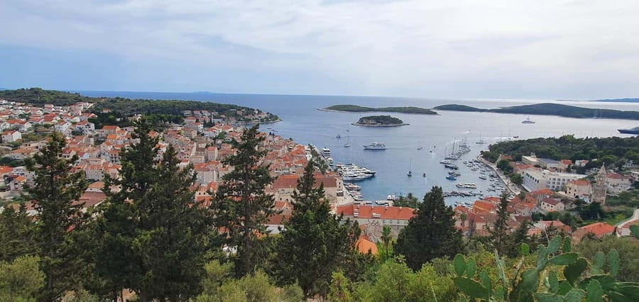 Split: Blue Cave & 5 Island Tour - Budikovac Island: the calmer pause for swimming and snorkeling