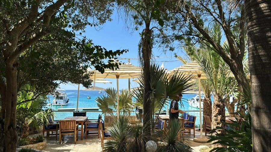 Split: Blue Lagoon, Hvar and 6 Islands Small Group Boat Tour - Guides and Music: Roko and Ella, David and Maren, and the Day Flow