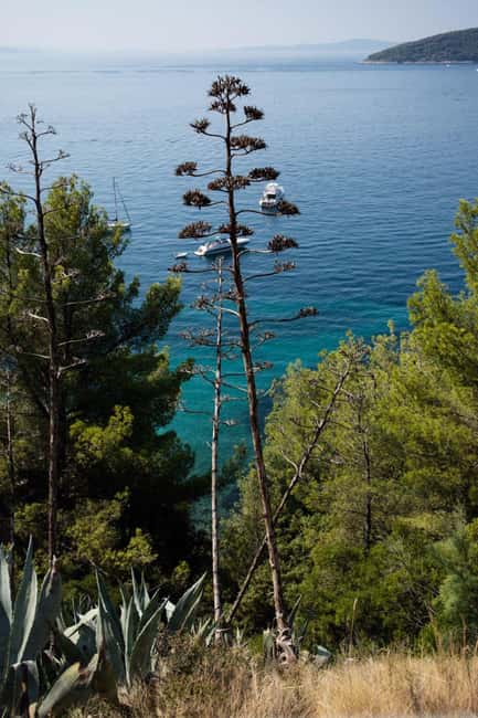 Split: City Sightseeing Panoramic Bus Tour - A Practical Note About Shop Time During Stops