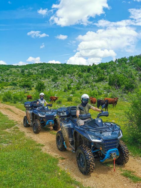 Split: Dalmatian Quad Tour with River Swimming & Picnic - The quad itself: what you are actually riding