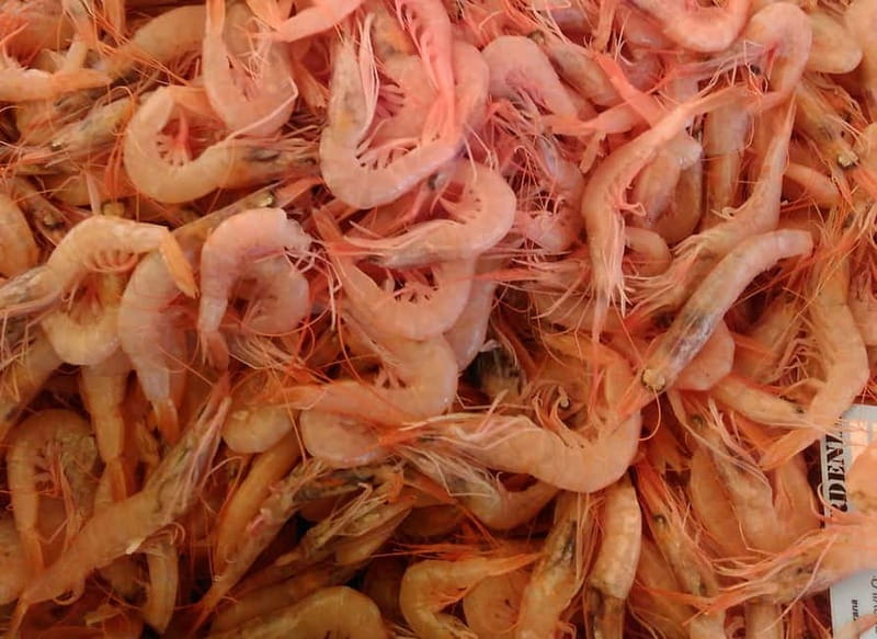 Split: Food Tasting Walking Tour - What to bring, how to dress, and what the walking feels like