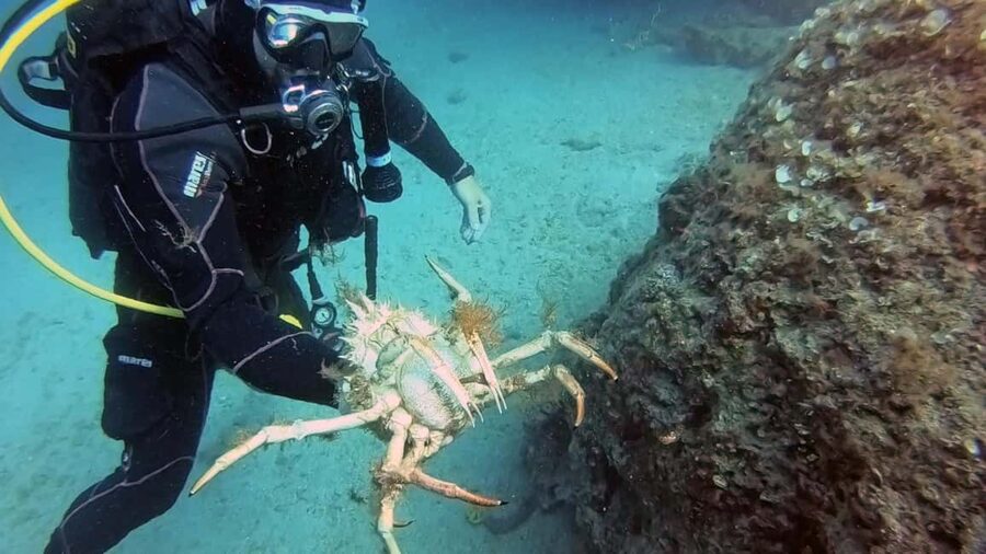 Split-Makarska-Brela Try SCUBA Dive - Photos and Videos on Google Drive in Two Days