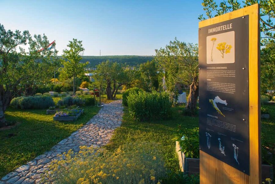 Split: Olive museum Klis with Olive Oil Tasting - Finding Stella Croatica in Klis, and what the experience gives you