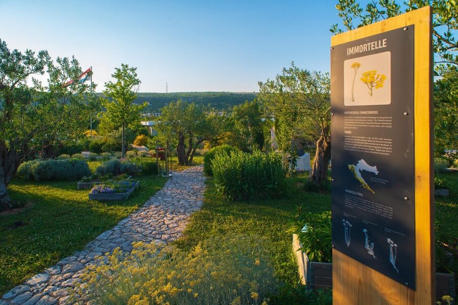 Split: Olive museum Klis with Olive Oil Tasting - Herb essential oils and natural cosmetics testing
