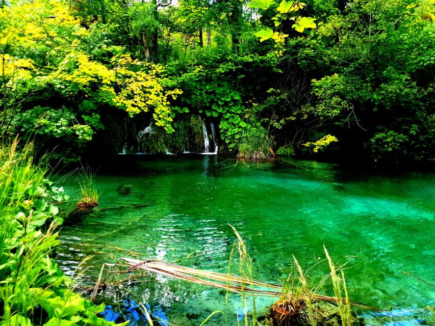 Split: Plitvice Lakes Guided Day Tour with Entry Tickets - Weather, walking pace, and what to pack for real comfort