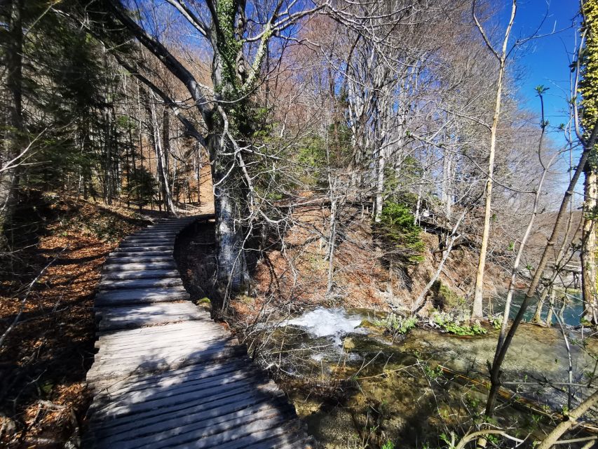 Split: Plitvice Lakes Guided Day Tour with Entry Tickets - Price check: what $116 buys, and when it’s good value