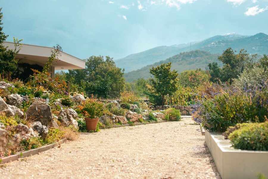 Split: Private tour to Klis Fortress and Vranjača cave - Stella Croatica: olive culture you can taste (and buy)