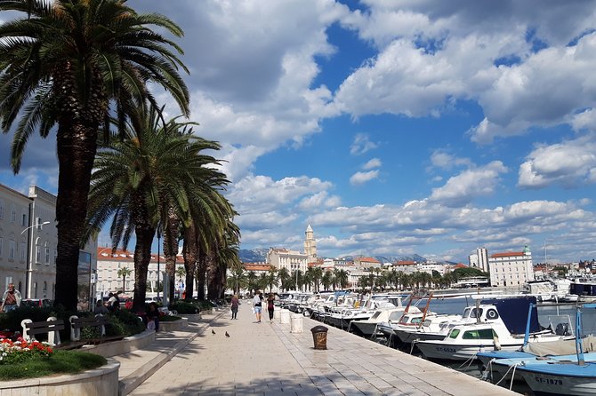 SPLIT-PRIVATE Walking Tour of Diocletian's Palace & Old Town - Key Highlights You Should Know Before You Go