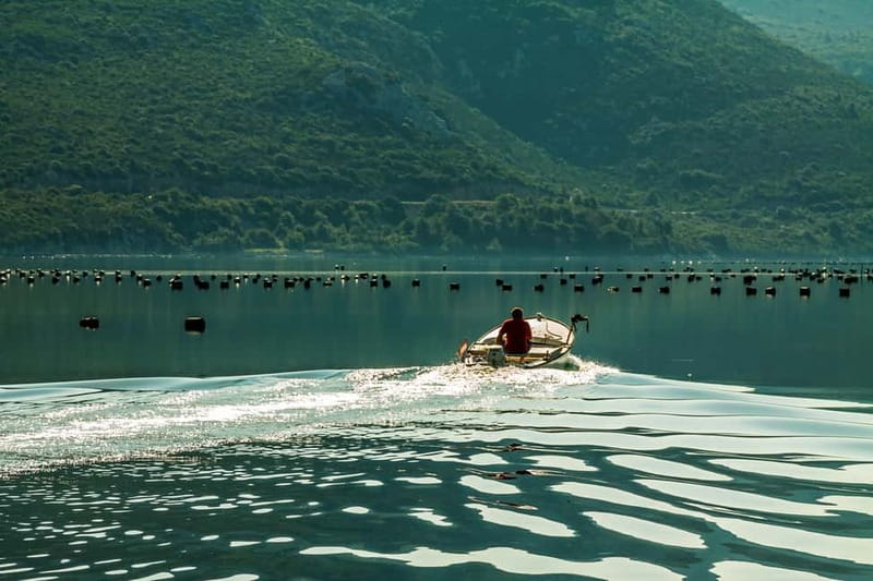 Ston Oyster & Wine Tasting Private Tour From Dubrovnik - Key highlights you will actually feel