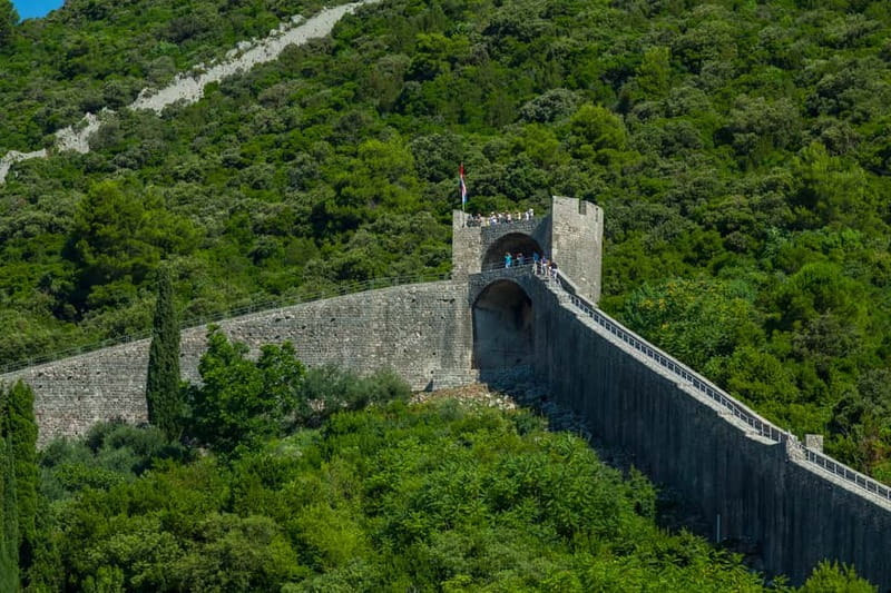 Ston Oyster & Wine Tasting Private Tour From Dubrovnik - My bottom line: should you book Ston oysters and wine from Dubrovnik?