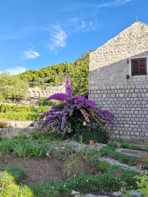 Ston private walking tour with the walls and saltworks visit - The saltworks stop is the most hands-on part of Ston