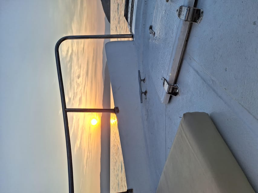Taxi Boat Krk - Private tours - Plavnik Island: Vultures, Caves, and the Wild Side of the Adriatic