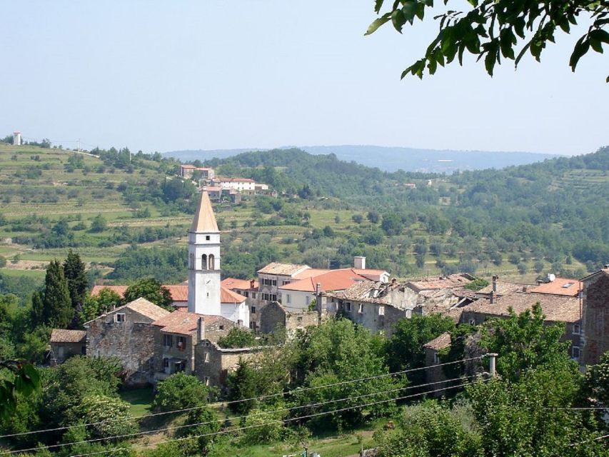 Trieste: Flavors of Istria Tour to Hum, Grožnjan, & Motovun - Key Points You’ll Actually Care About