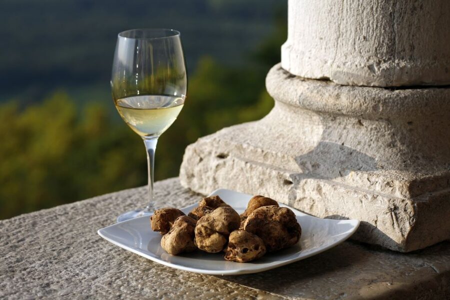 Trieste: Flavors of Istria Tour to Hum, Grožnjan, & Motovun - Where You Start Matters: Trieste Pick-Up and Cruise Timing