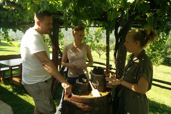 Truffle and wine / Taste of Istria from POREC, ROVINJ, PULA - Livade: the truffle center stop and the 1.3 kg white truffle model