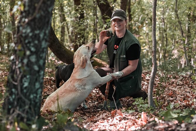 Truffle hunting & cooking tour - The truffle museum stop: the story behind what you’re hunting