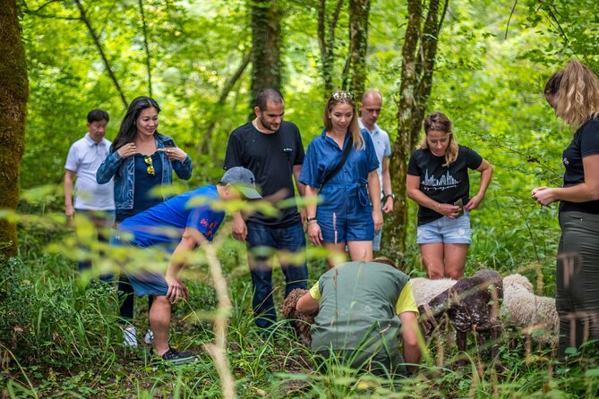 Truffle hunting & cooking tour - Hunting with truffle dogs: what the walk is really like