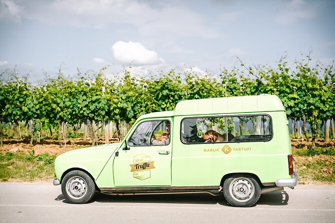 Truffle hunting & cooking tour - What to wear and bring for the forest part
